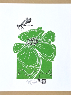 libellule et escargot